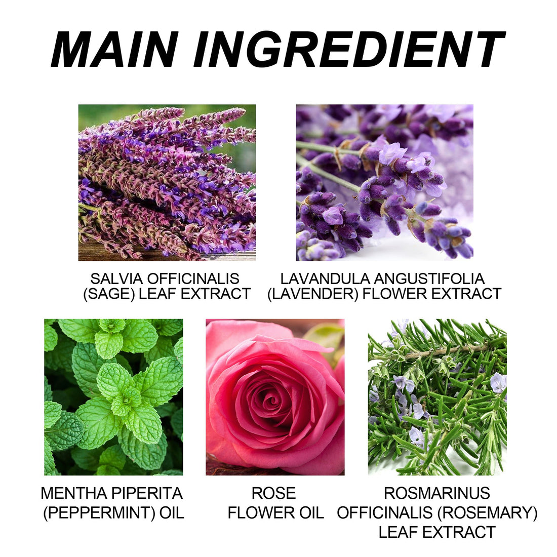 Essential Oil Goodnight Patch, Helps You Fall Asleep Quickly At Night And Relieves Body Muscle Fatigue And Stress Sleep Patch